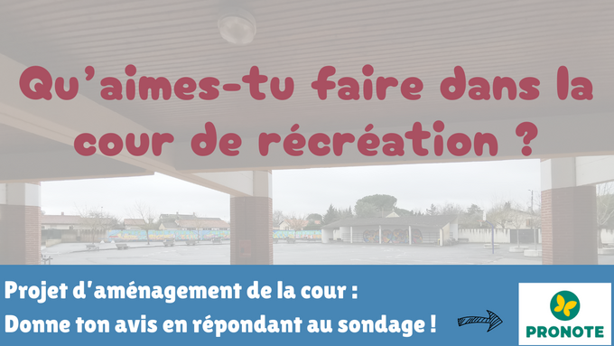 Affiche sondage cour de récréation.png